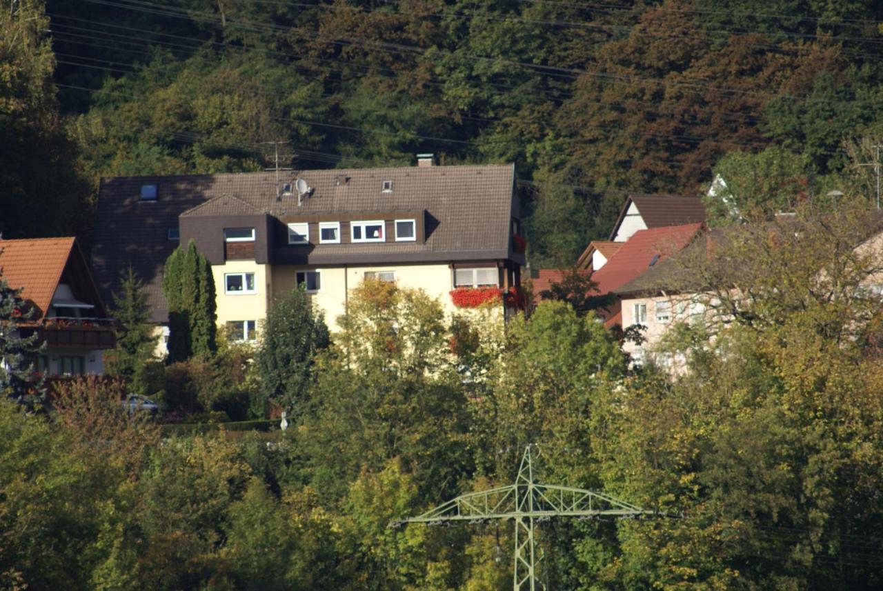Hotel Storchen Rheinfelden  Eksteriør bilde
